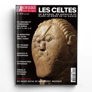 Dossiers d'Archéologie n° 313Les Celtes