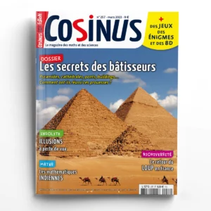 Cosinus n° 257Les secrets des bâtisseurs
