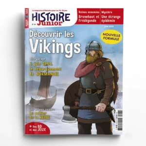 Histoire Junior n° 141Découvrir les Vikings